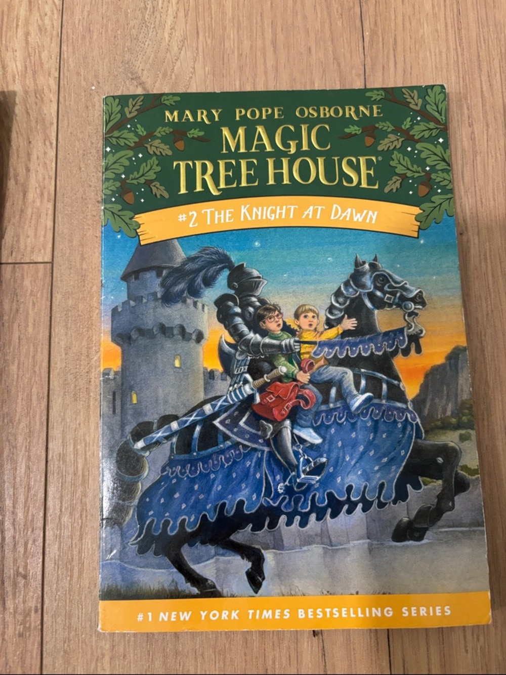 Magic Treehouse Books 1-3 - Picture 4 of 5